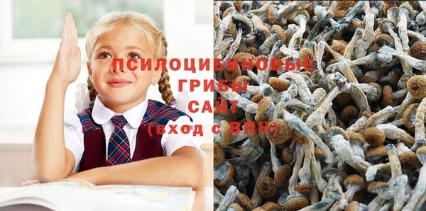mdpv Кинешма