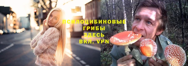 mdpv Кинешма