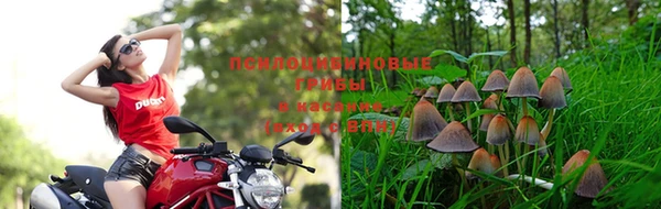 mdpv Кинешма