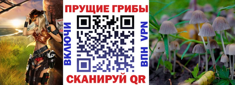 Купить  Абакан  Галлюциногенные грибы мицелий 